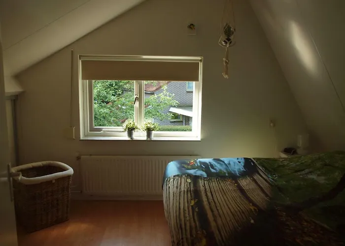 Enjoydeveluwe Holiday home *