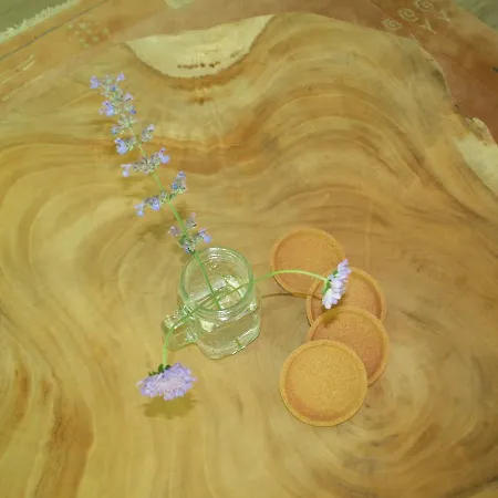 Holiday home Enjoydeveluwe