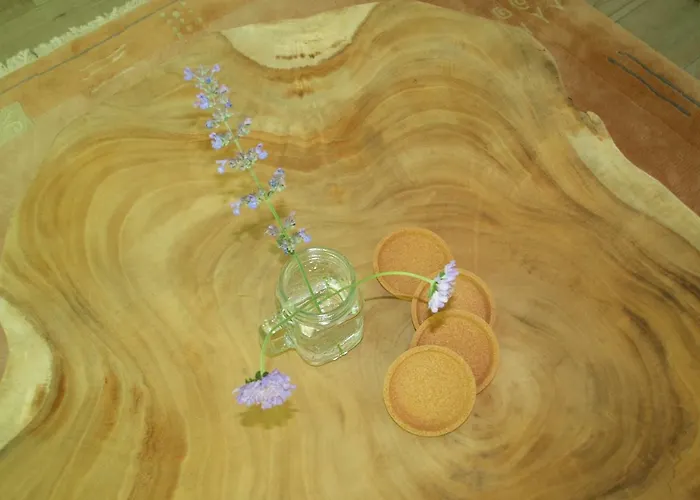 Feriehus Enjoydeveluwe